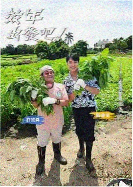一个人也热闹 生活观察综艺